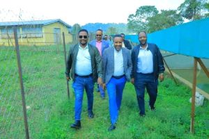 ግሪንላንድ ጠቅላላ ስራ ተቋራጭ ከ35 ሚሊዮን ብር በላይ ወጪ የተደረገበትን የዓሳ ኩሬ ፕሮጀክት በጥራት አጠናቆ አስረከበ